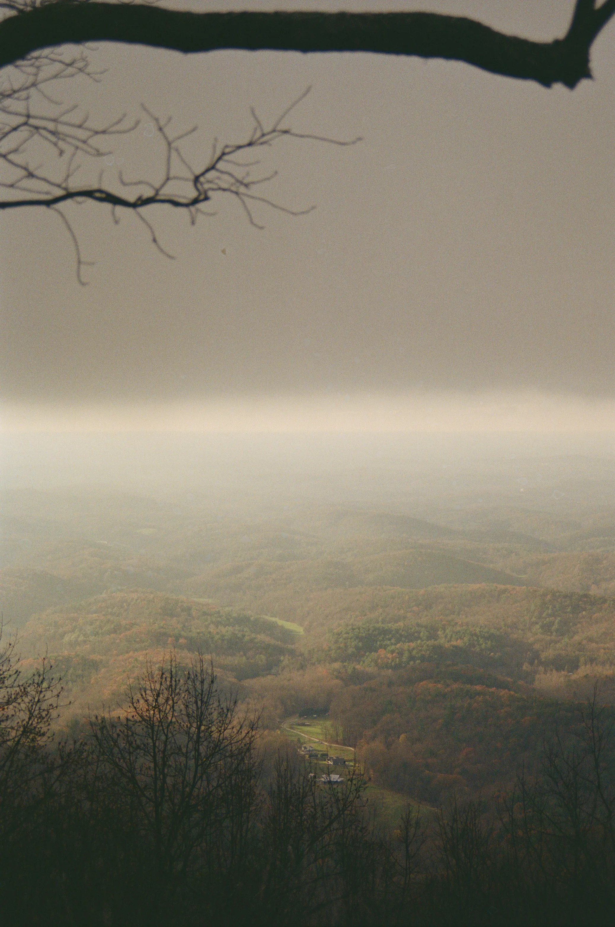 Copyright Michael Madrzyk